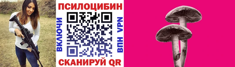 Галлюциногенные грибы MAGIC MUSHROOMS  дарнет шоп  Новоалександровск 