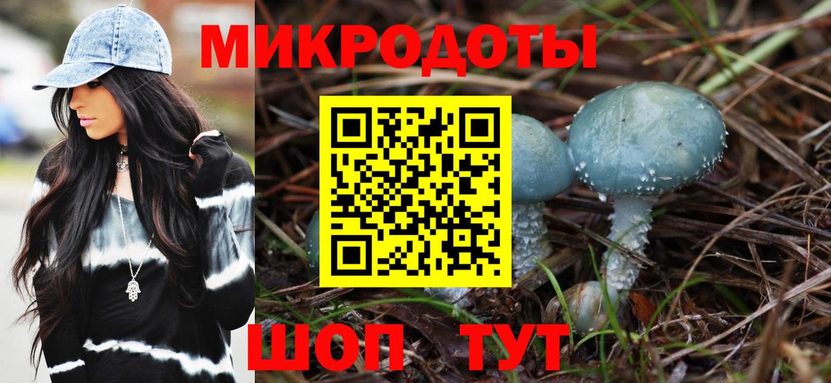 Псилоцибиновые грибы Cubensis  Вход с VPN  Новоалександровск 