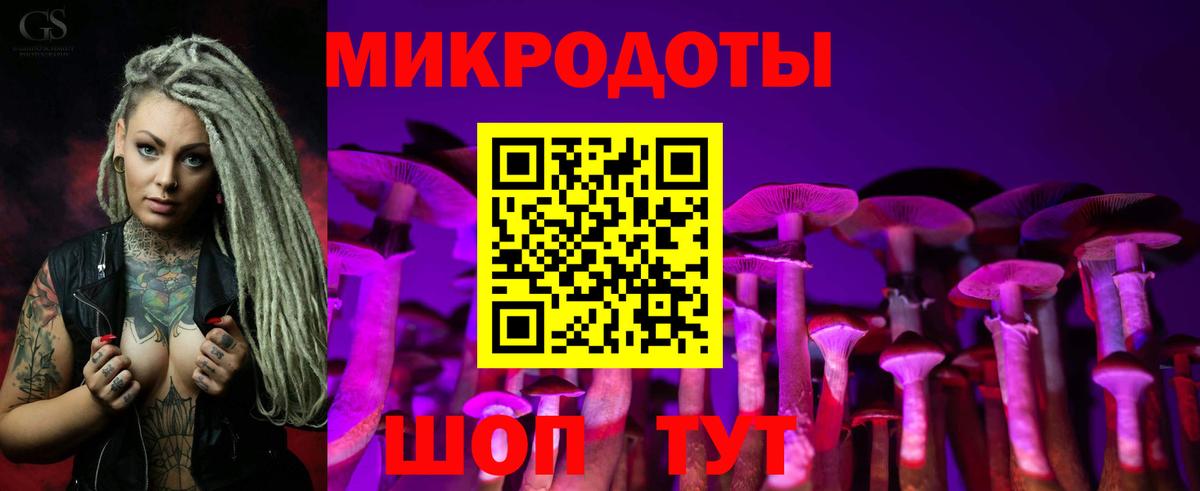 наркотики  Новоалександровск  Галлюциногенные грибы мухоморы 