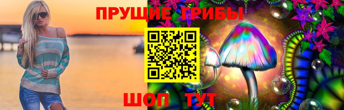 Галлюциногенные грибы мицелий  Вход с VPN  Новоалександровск 